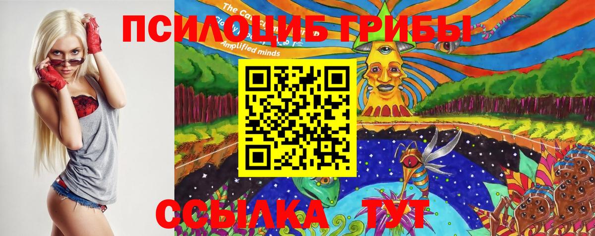 Галлюциногенные грибы мицелий Юрга
