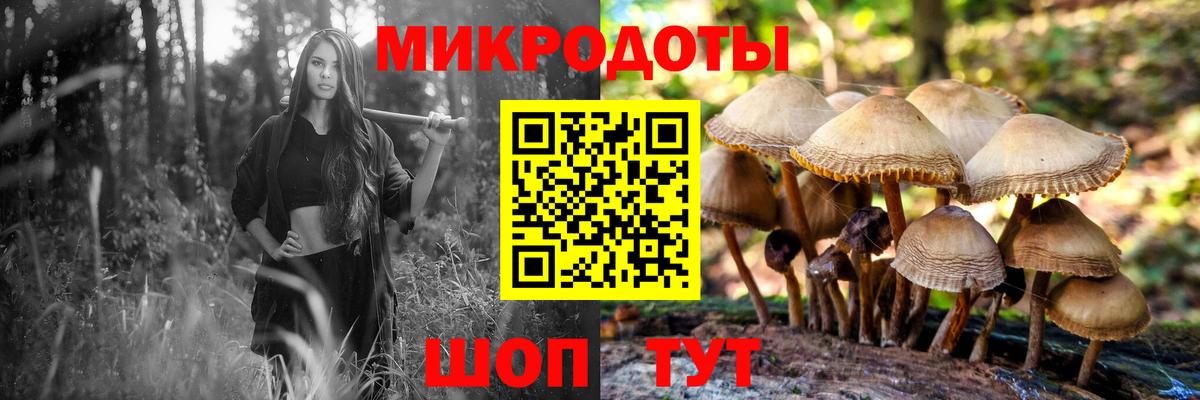 Галлюциногенные грибы Psilocybe  Вход с VPN  Юрга  Галлюциногенные грибы MAGIC MUSHROOMS 